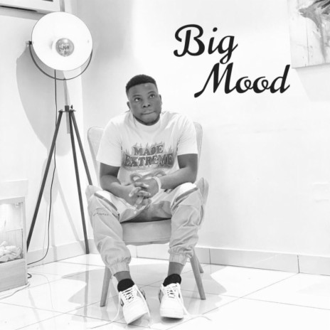 Bigmood | Boomplay Music