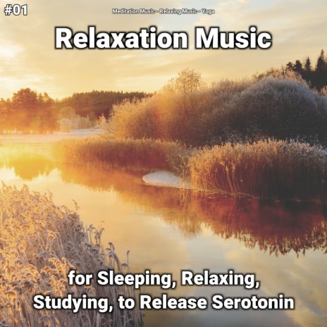 Music to Sleep To ft. Relaxing Music & Yoga