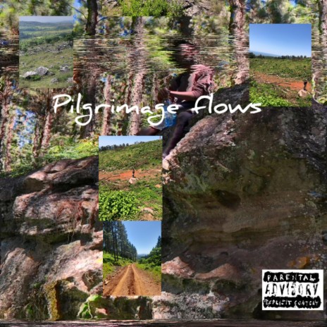 Pilgrimage flows | Boomplay Music