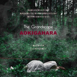 Aokigahara