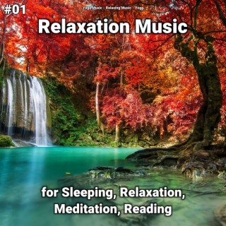 #01 Relaxation Music for Sleeping, Relaxation, Meditation, Reading