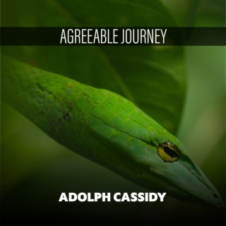 Agreeable Journey