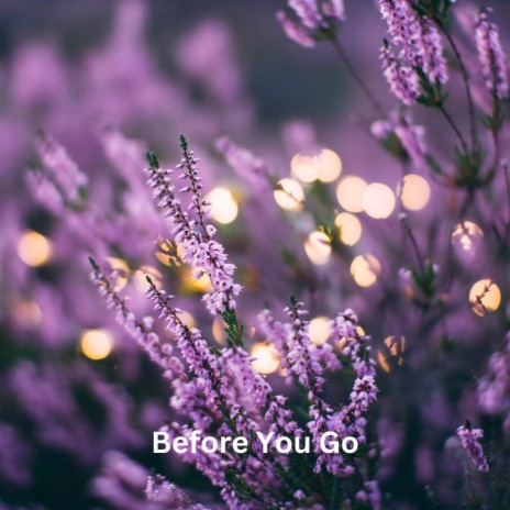 Before You Go | Boomplay Music