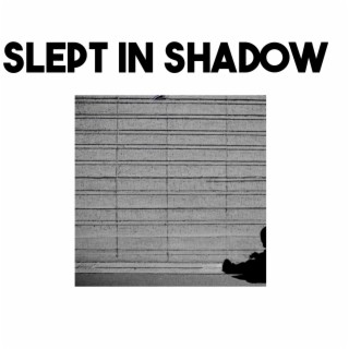 Slept in Shadow