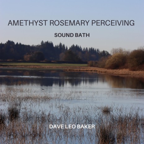 Amethyst Rosemary Perceiving Sound Bath