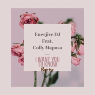 I want you to know [feat. Colly Maposa]