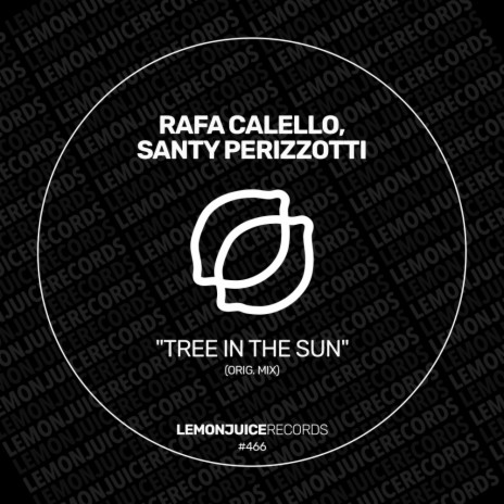 Tree In The Sun ft. Santy Perizzotti | Boomplay Music