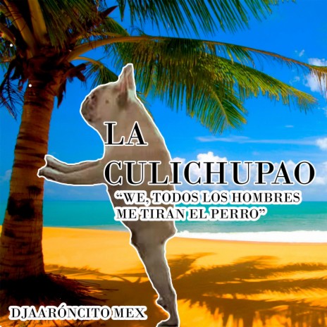 culichupao | Boomplay Music