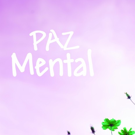 Paz Mental | Boomplay Music