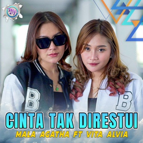 Cinta Tak Direstui ft. Vita Alvia | Boomplay Music