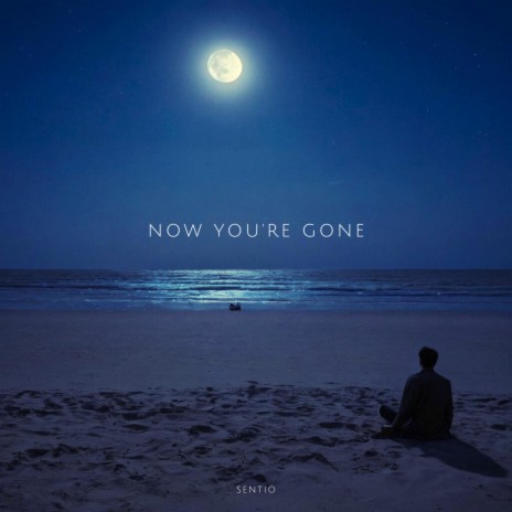 Now You're Gone | Boomplay Music