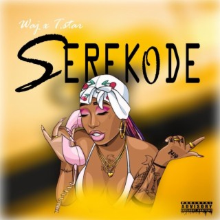 Serekode ft. WAJ lyrics | Boomplay Music