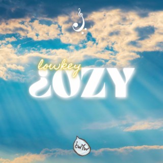 LOWKEY ¿OZY lyrics | Boomplay Music