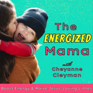 The Energized Mama - Work Life Balance, Boost Energy, Fight Fatigue, Parenting Toddlers