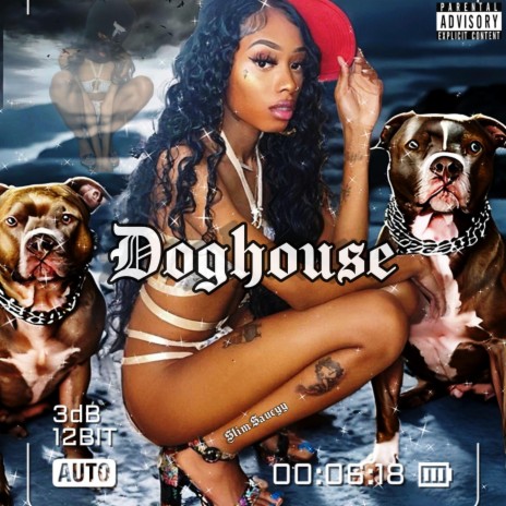 Doghouse | Boomplay Music