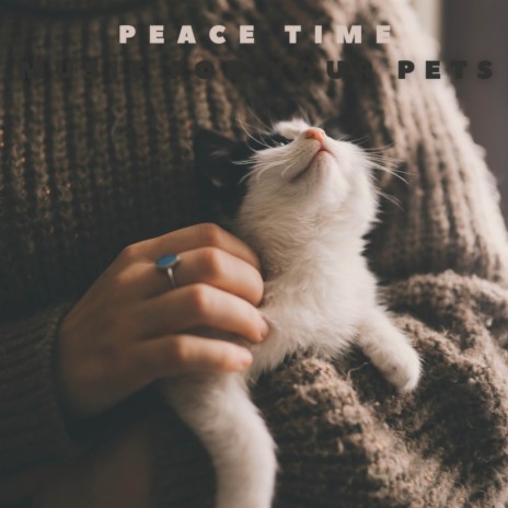 Peace Time | Boomplay Music