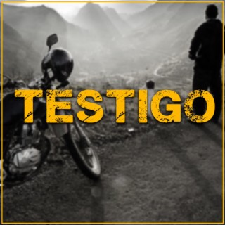 Testigo