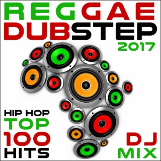 Reggae Dubstep Hip Hop 2017 Top 100 Hits DJ Mix