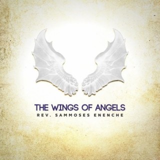 The wings of angels