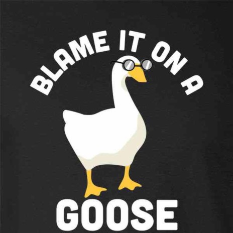 Blame It On The Goose | Boomplay Music