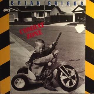 Episode 328 Brian Briggs - Combat Zone