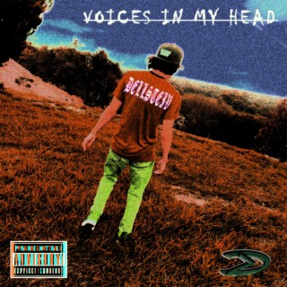 VOICES IN MY HEAD