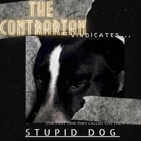 Stupid Dog (The First Time They Called You the N Word)