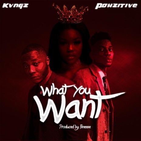 What You Want ft. Pohzitive