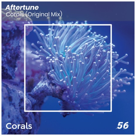 Corals | Boomplay Music