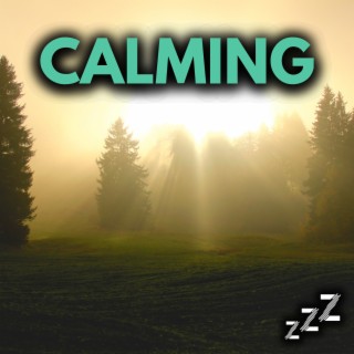 Calming: Music For Anxiety