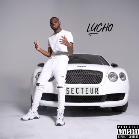 Secteur | Boomplay Music