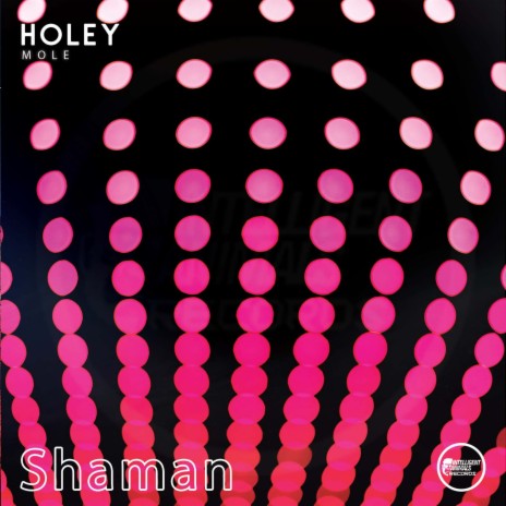 Shaman | Boomplay Music