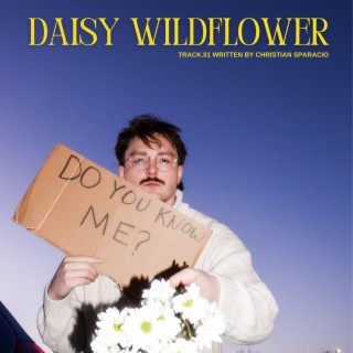 Daisy Wildflower