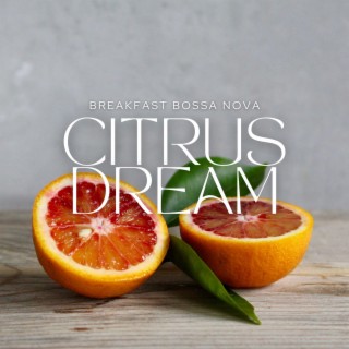 Citrus Dream