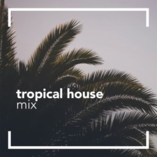 Tropical House Mix