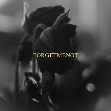 FORGETMENOT | Boomplay Music
