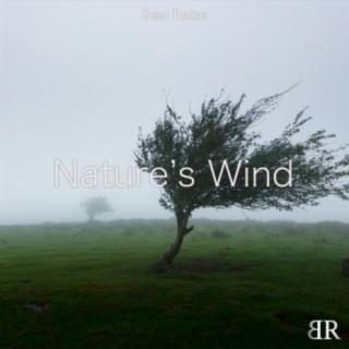 Nature's Wind