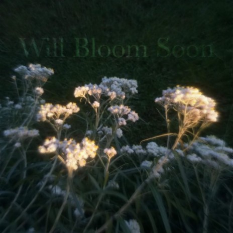 Will Bloom Soon