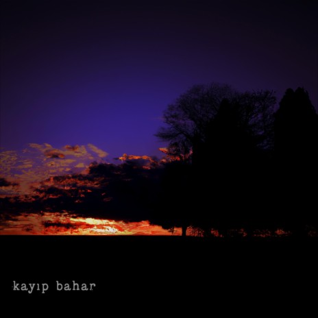 kayıp bahar | Boomplay Music