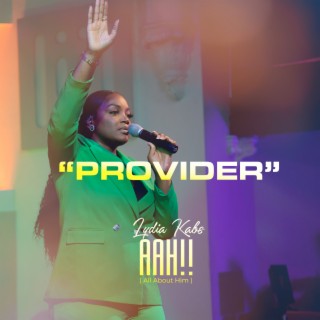 Provider