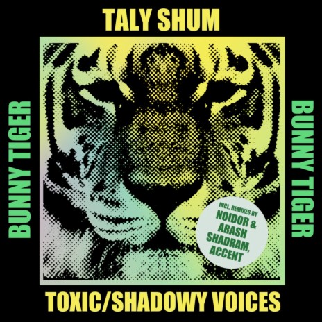 Shadowy Voices (Noidor, Arash Shadram Remix) | Boomplay Music