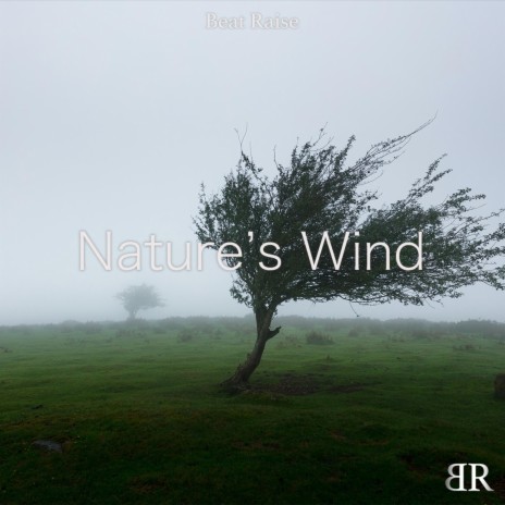 Nature's Wind | Boomplay Music