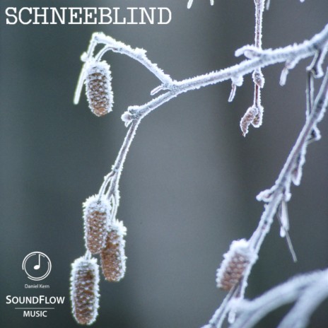 Schneeblind