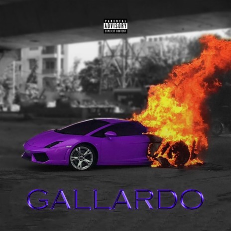 Gallardo | Boomplay Music