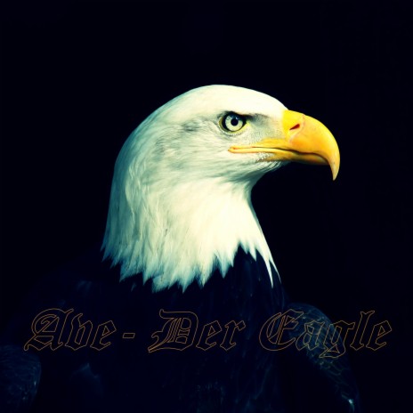 Der Eagle | Boomplay Music