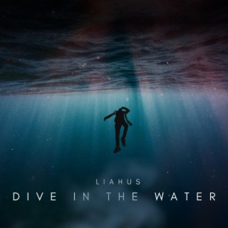Dive in the Water lyrics | Boomplay Music