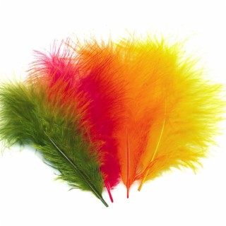 MARABOU DREAMS