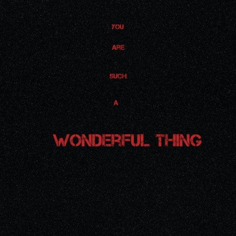 You Are Such a Wonderful Thing | Boomplay Music