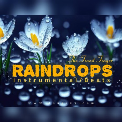 Afro Instrumental/Beats (Raindrops) | Boomplay Music