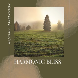 Harmonic Bliss: Attain Supreme Serenity with the Piano